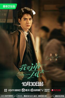 黄山网站优化排名技巧